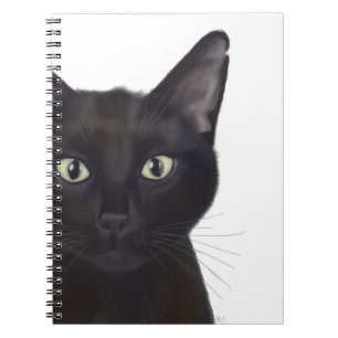 Carnet Cat, Portrait de Gus