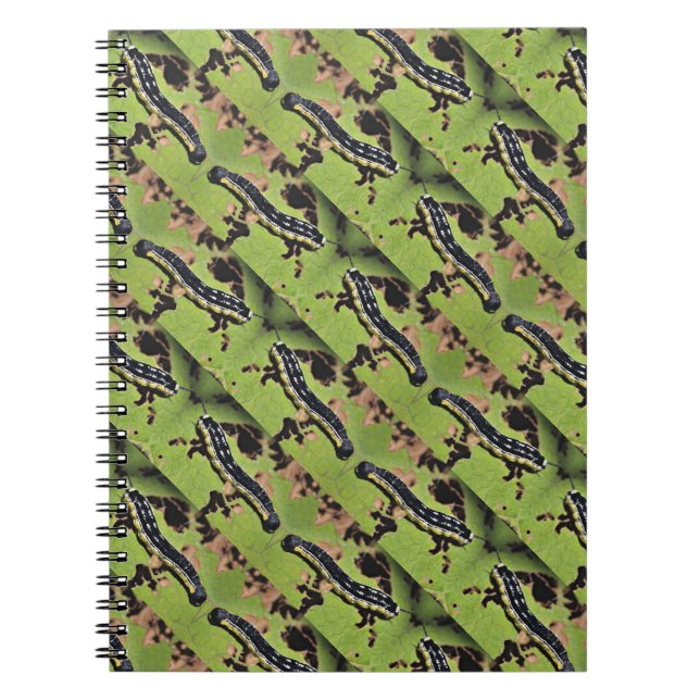 Carnet Catalpa Worms la pêche de poisson-chat de Camo (Devant)
