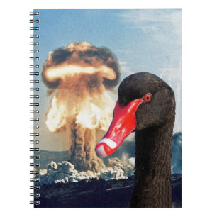 Carnet Catastrophe du cygne noir