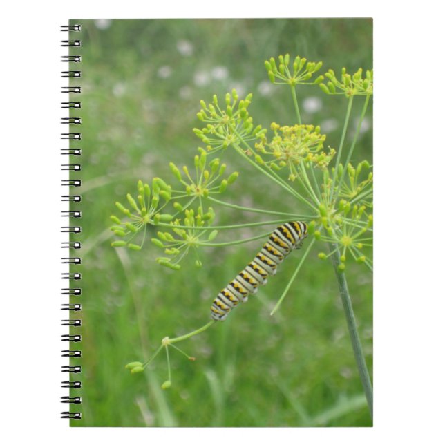 Carnet Caterpillar (Devant)