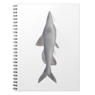 Carnet Catfish à long whisky