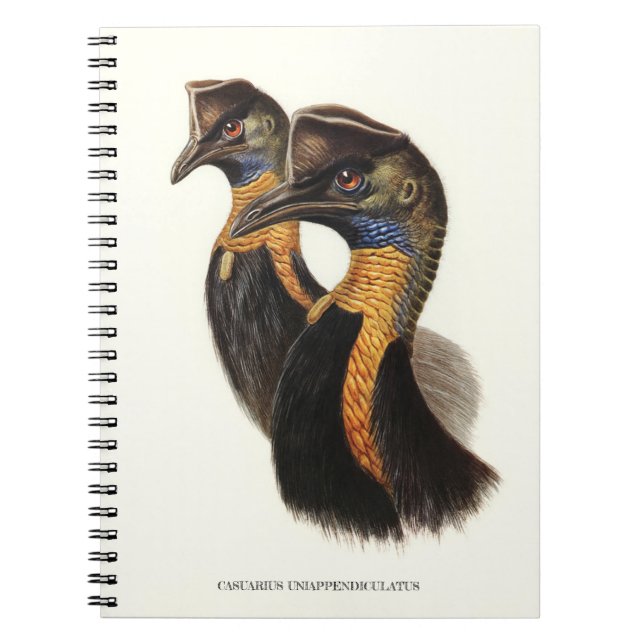 Carnet Causses nordiques, oiseaux Vintages (Devant)