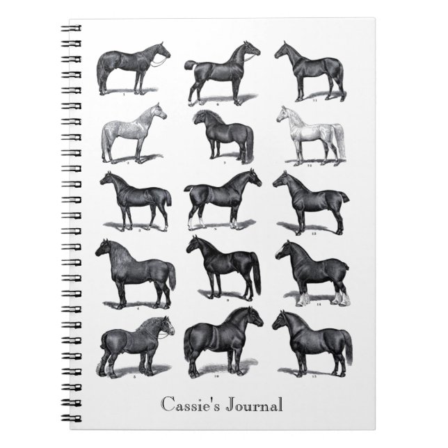 Carnet cavalier équestre vintage personnalisé (Devant)