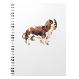 Carnet Cavalier King Charles Spaniel