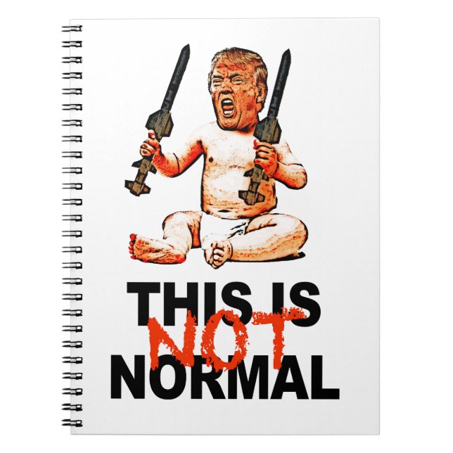 Carnet Ce n'est pas normal (Devant)