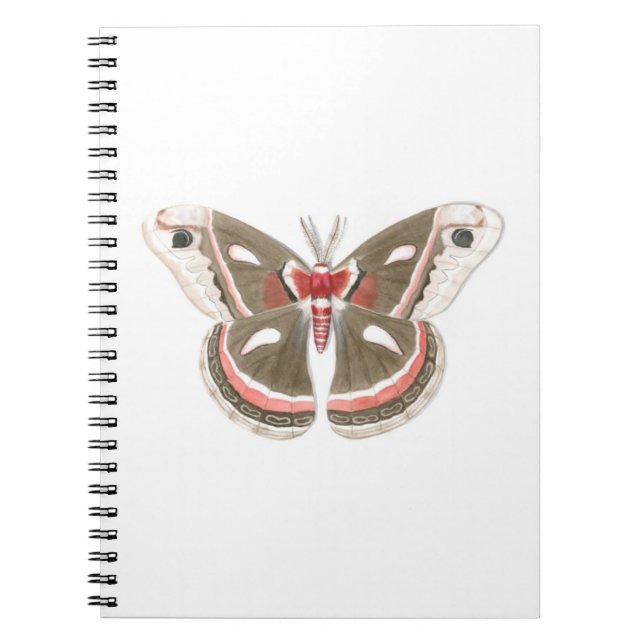 Carnet Cecropia Moth (Devant)