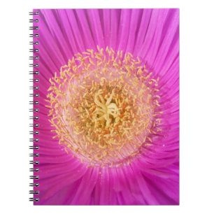 Carnet Centre à fleurs roses