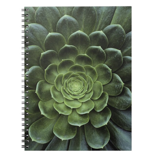 Carnet Centre de cactus (Devant)