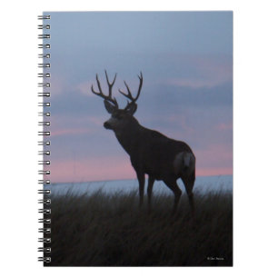 Carnet Cerf Mule D3 Buck Lever du Soleil Buck
