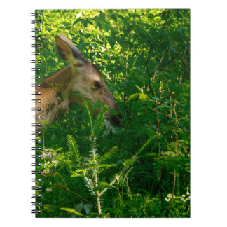 Carnet Cerf roux dans la forêt.