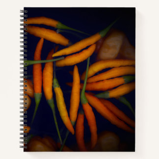 Carnet Certains l'aiment piment orange chaud