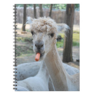 Carnet Chameau drôle avec une carotte