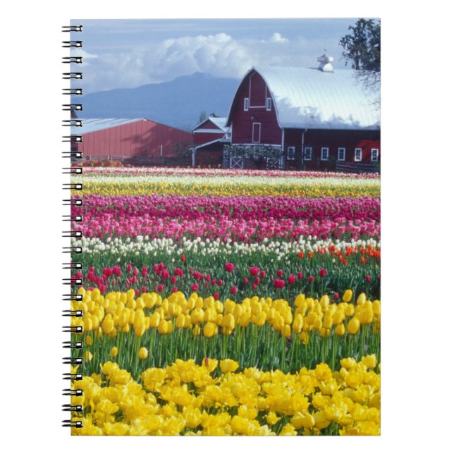Carnet Champ d'affichage Tulip (Devant)