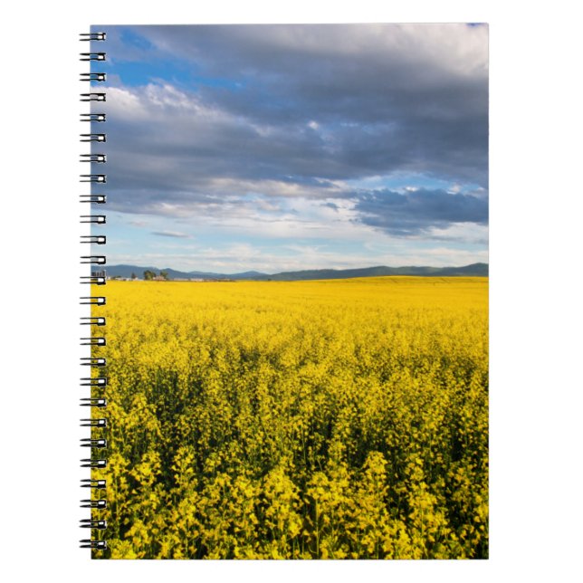 Carnet Champ De Canola À La Fin De La Soirée Légère (Devant)