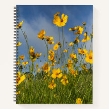 Champ de fleurs jaunes