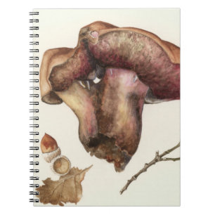 Carnet Champignon