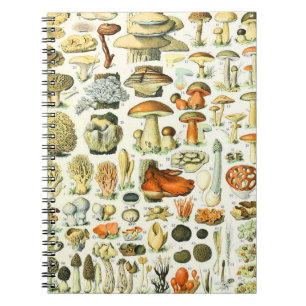 Carnet Champignon d'Adolphe Millot