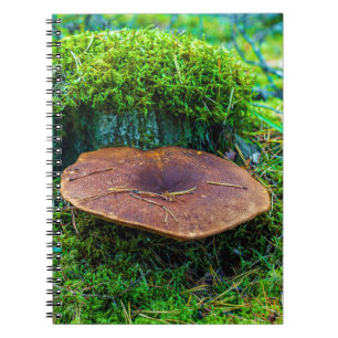 Carnet Champignon de moril vert nature herbe