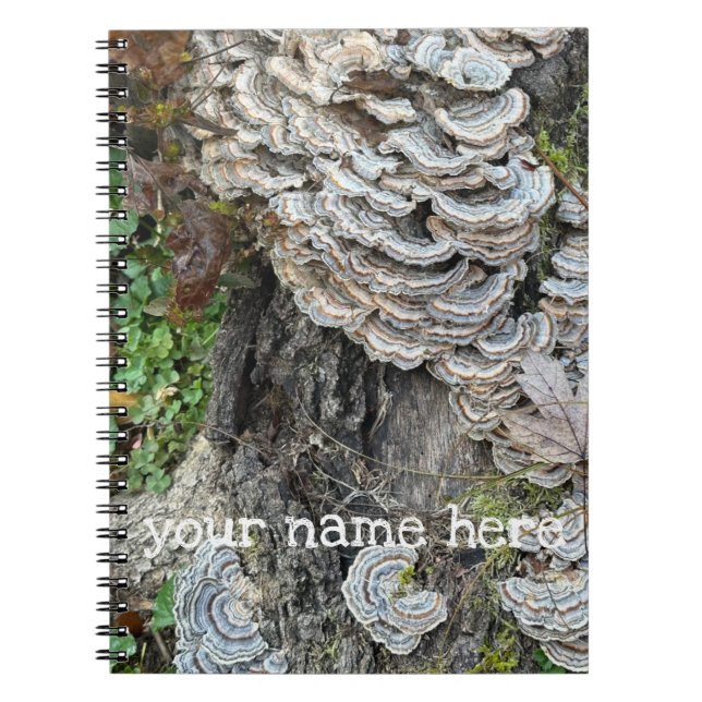 Carnet "Champignons de queue de Turquie" (Devant)