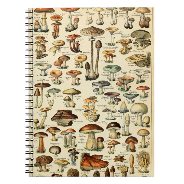 Carnet Champignons et champignons vintages (Devant)