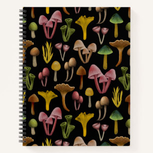 Carnet Champignons, Lichen et champignons colorés