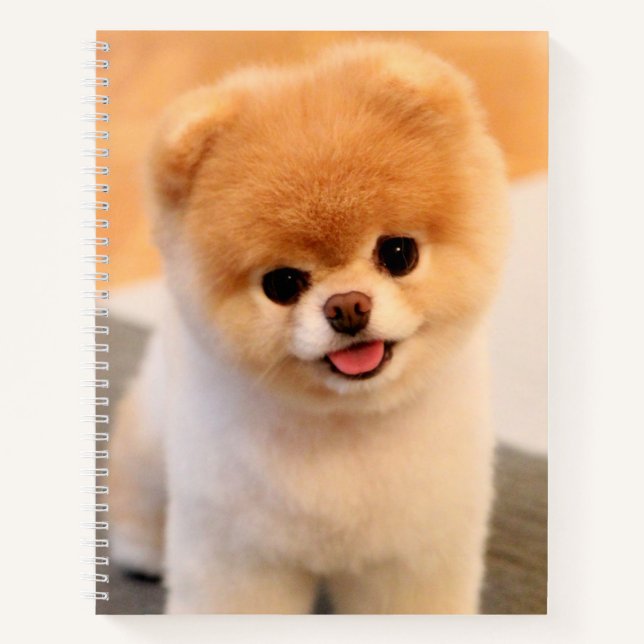 Carnet Charme Doux Poméranien unique (Devant)
