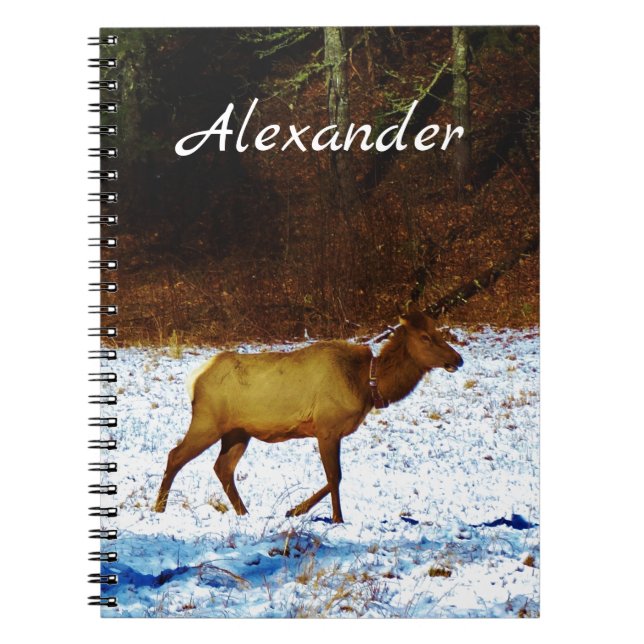 Carnet Chasseurs Cadeaux Elk dans la neige (Devant)