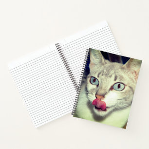 Carnet Chat