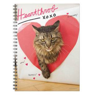 Carnet Chat à gorge cardiaque