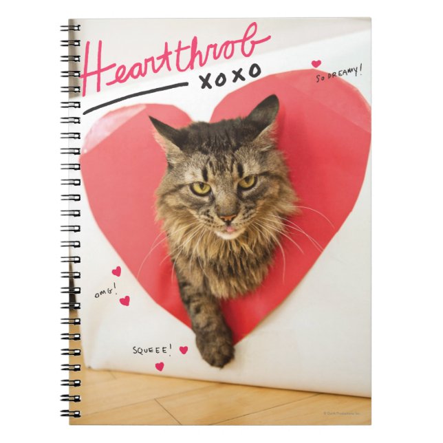 Carnet Chat à gorge cardiaque (Devant)