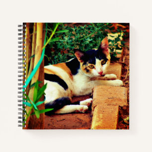 Carnet Chat agréable