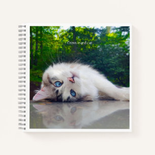 Carnet Chat aux yeux croisés