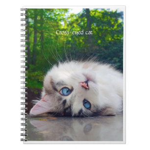 Carnet Chat aux yeux croisés
