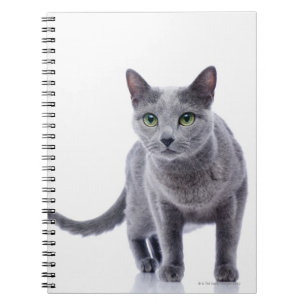 Carnet Chat bleu russe