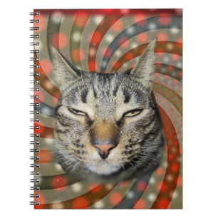 Carnet Chat cool - VOUS ACCEPTEZ Votre Cadeau !