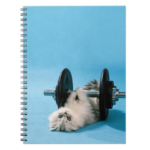 Carnet Chat de séance d'entraînement