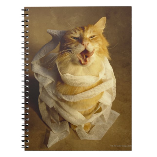 Carnet Chat enveloppé dans du gaze médical (Devant)