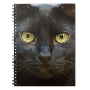 Carnet chat noir
