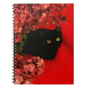 Carnet chat noir