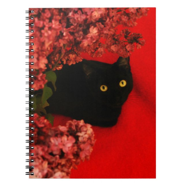 Carnet chat noir (Devant)