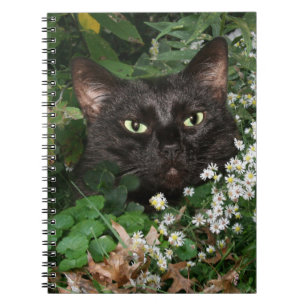 Carnet Chat noir avec des fleurs sauvages