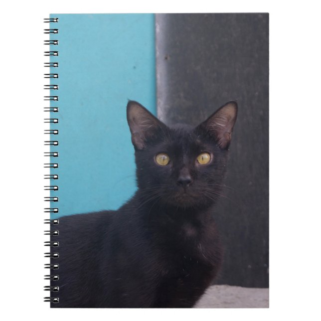 Carnet Chat noir surpris (Devant)
