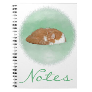 Carnet Chat orange endormi