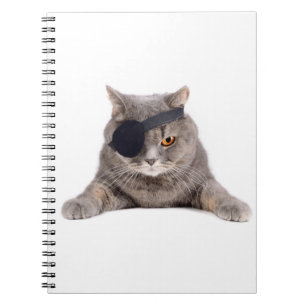 Carnet Chat pirate