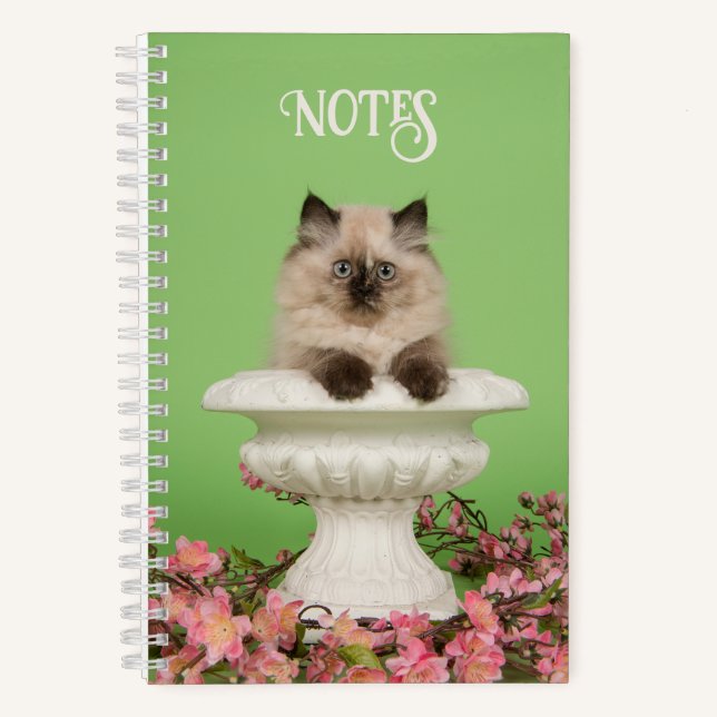 Carnet Chat siamois mignon et long-haïr (Recto)
