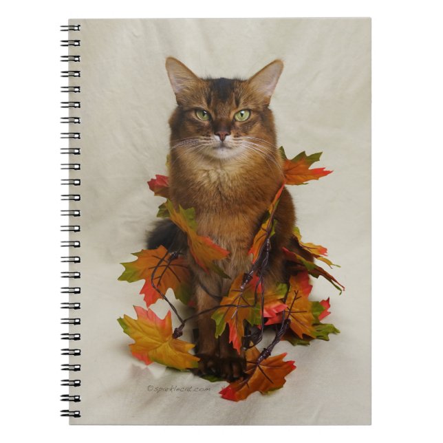 Carnet Chat somalien (Devant)