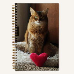 Carnet Chat somalien avec coeur