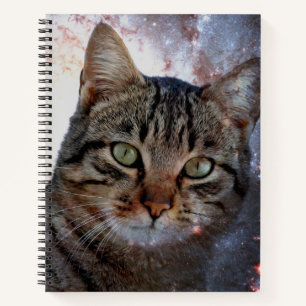 Carnet Chat spatial