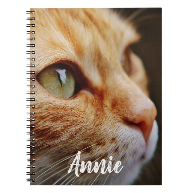 Carnet Chat tigré orange avec les yeux verts faits sur (Devant)