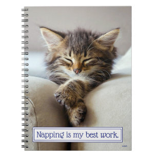 Carnet Chaton couchant